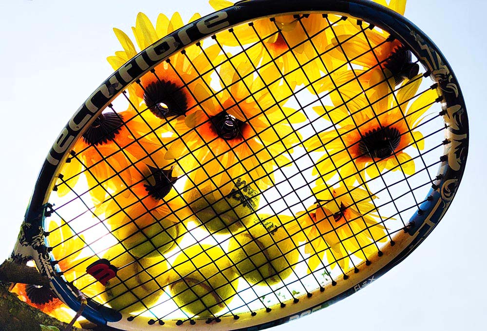 22090450 Tennisracket zonnebloemen tennisballen 1000
