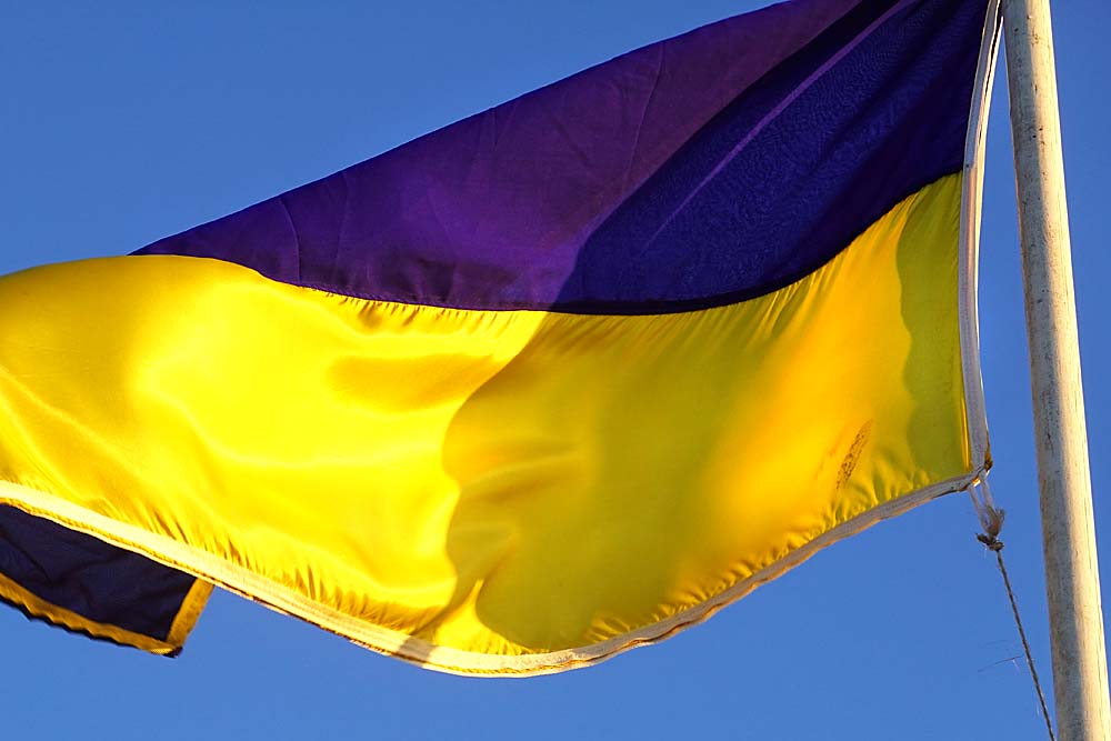22031750 OekraienseVlag