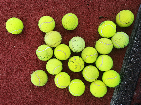 130831 Klussendag ballen uit struiken 400