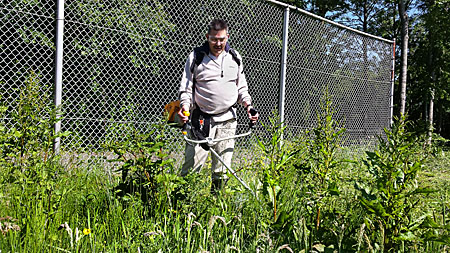 150606 Wiedochtend Bernhard Kraan met bosmaaier 400