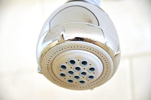 Douchekop na poetsbeurt