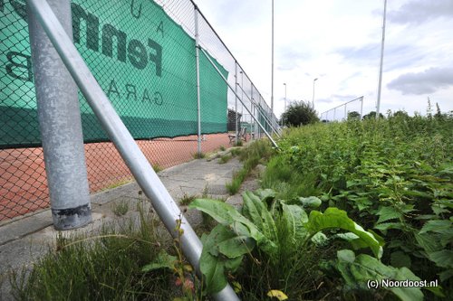 16090359 onkruid achter baan twee 2