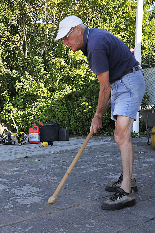 160910 Snoeidag CorvanderMeer 500