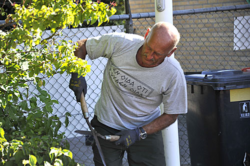 160910 Snoeidag ReinHuitema 500