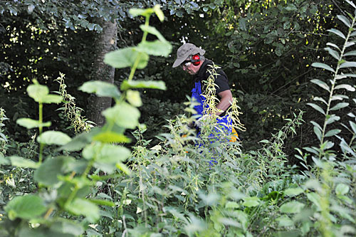 160910 Snoeidag Wil Witting 500