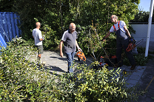 160910 Snoeidag bomen en zagen 500