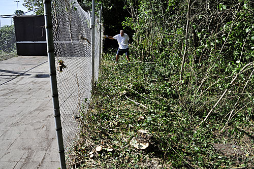 160910 Snoeidag oefenkooi Meinard Fransen 500