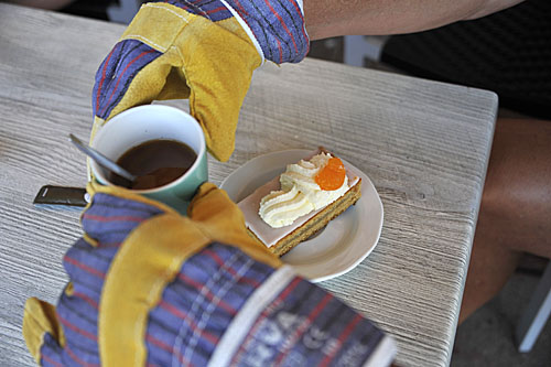 160910 Snoeidag oranjekoek handschoenen 500