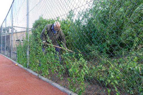 180909 Herfstklussendag 1