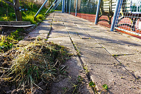 20040756 Bult onkruid baan 450