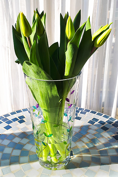 200416 Tulpenhulde JanVisser 450