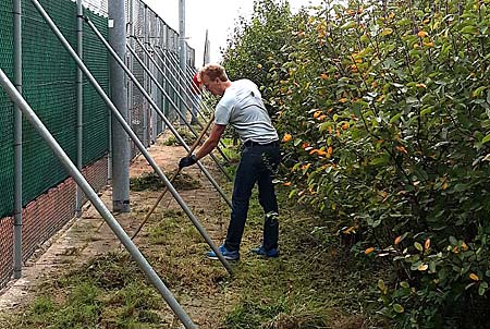 200926 TVA klussendag schoffelenpadbaan1en2