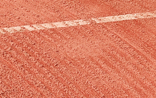 20210528 Borstel resultaat Antea 500