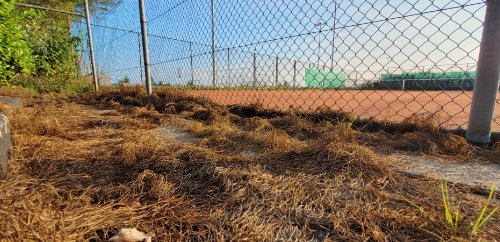 21091850 Heremoes Tennisbaan Akkrum